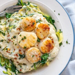 Close up photo of a white bowl filled with creamy zucchini noodles and garlic butter scallops.