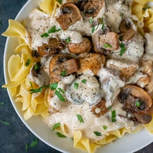 White bowl filled with egg noodles topped with creamy mushroom and chicken stroganoff.