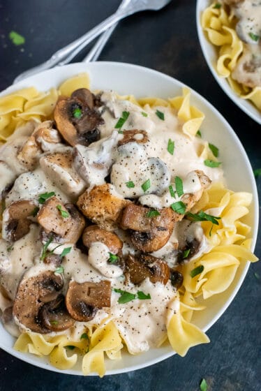 White bowl filled with egg noodles topped with creamy mushroom and chicken stroganoff.