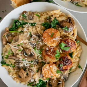 White bowl filled with creamy parmesan mushroom orzo and butter scallops.