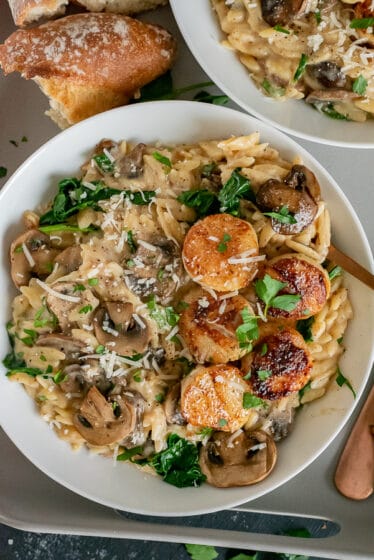 White bowl filled with creamy parmesan mushroom orzo and butter scallops.
